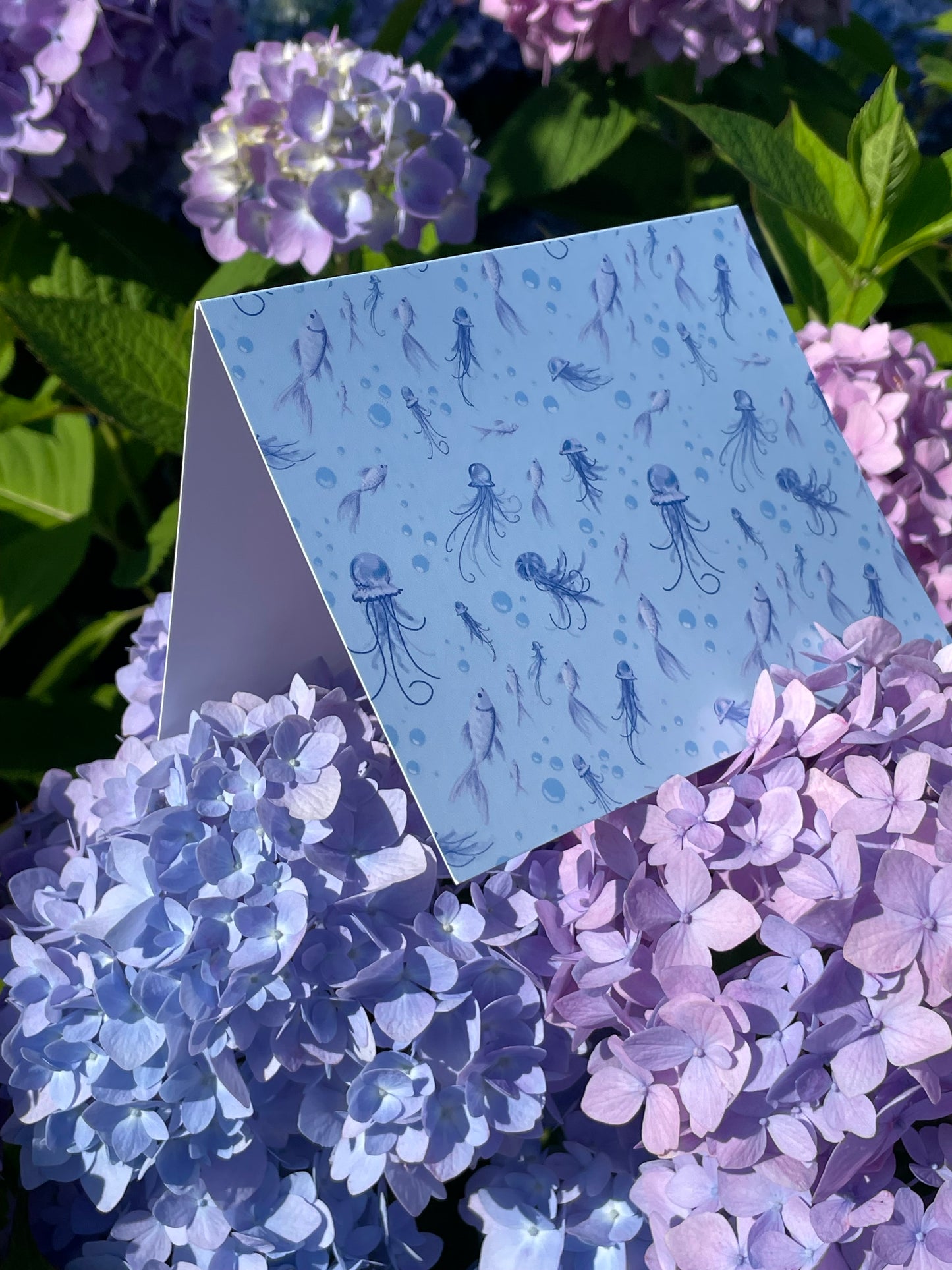 Summer Jellies - Notecards (Set of 10)